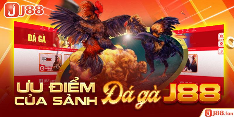 Ưu điểm của sảnh đá gà J88